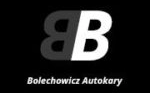 Usługi Transportowe Bogusław Bolechowicz - logo